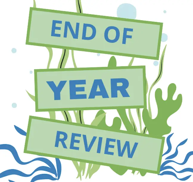end of year review