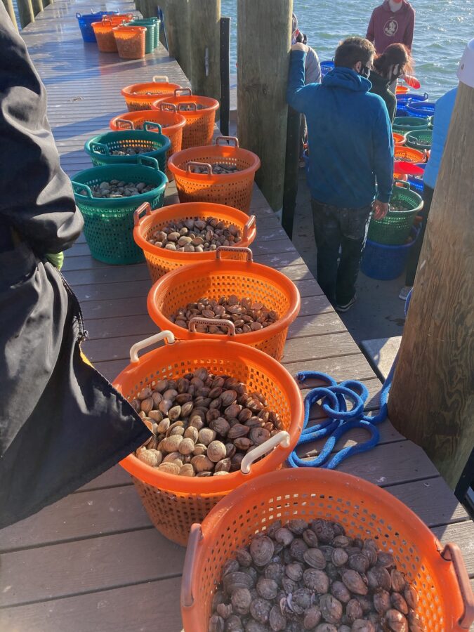 Baskets Of Clams Ready On The Dock December 19th 2020 34