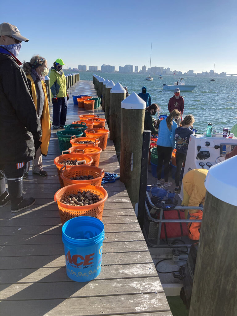 Clam Drop Volunteers Loading Boats With Clams December 19th 2020 33