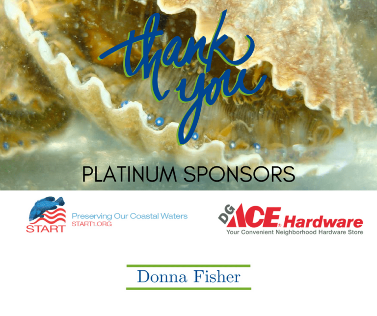Thank You Platinum Sponsors START DG Ace Hardware And Donna Fisher