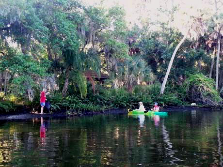 Volunteers Cleaning Up Phillippi Creek