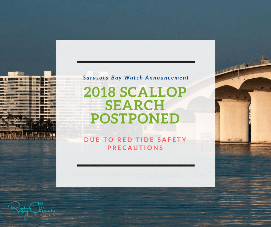 Scallop Search Postponed